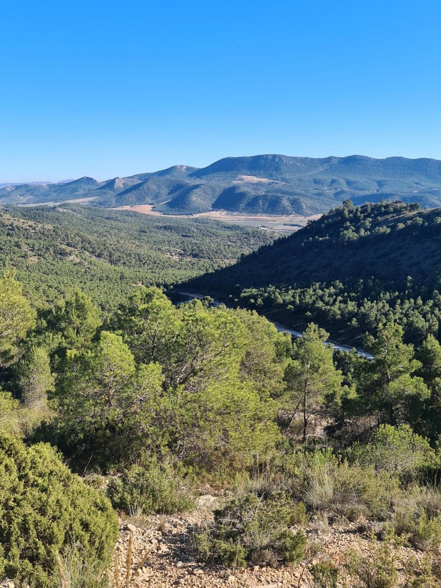 Apartamento Sierra Del Fraile Бьяр Экстерьер фото